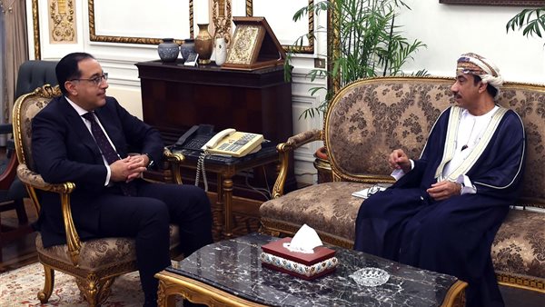 رئيس الوزراء يلتقي