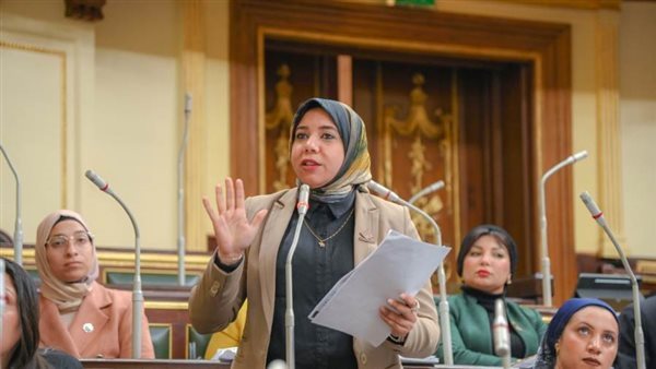 النائبة هيام الطباخ