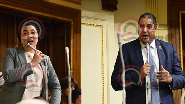 نائبا التنسيقية