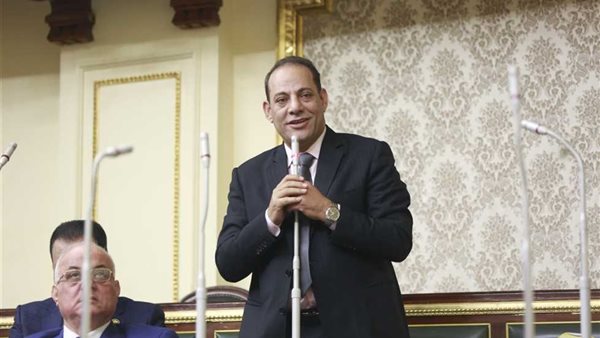 النائب إبراهيم عويس