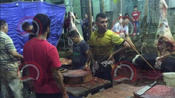 روميو في محل الجزارة