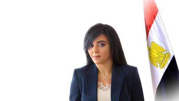 النائبة ريهام عفيفي