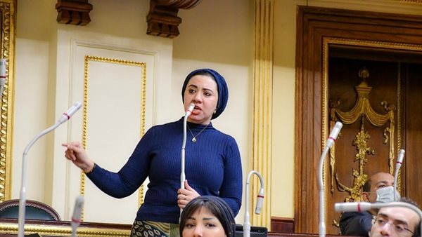 النائبة أميرة صابر