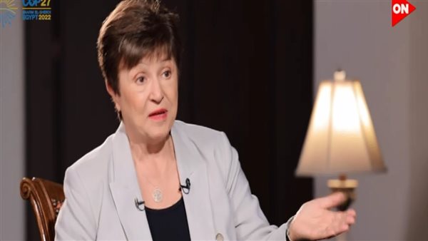 مدير عام صندوق النقد