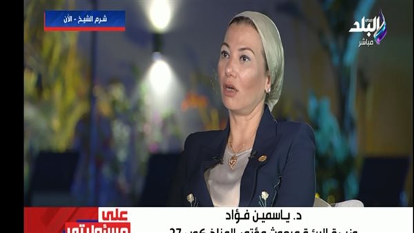 ياسمين فؤاد وزيرة