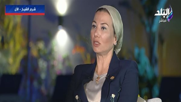 ياسمين فؤاد وزيرة