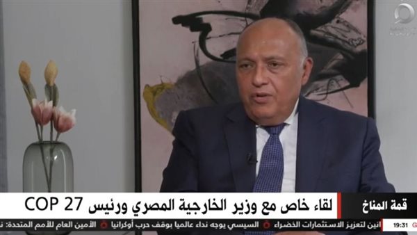 سامح شكري وزير الخارجية