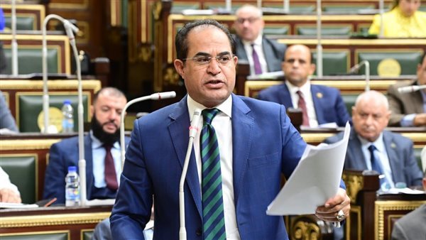  النائب سليمان وهدان