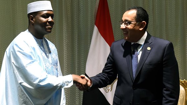 لقاء رئيس الوزراء