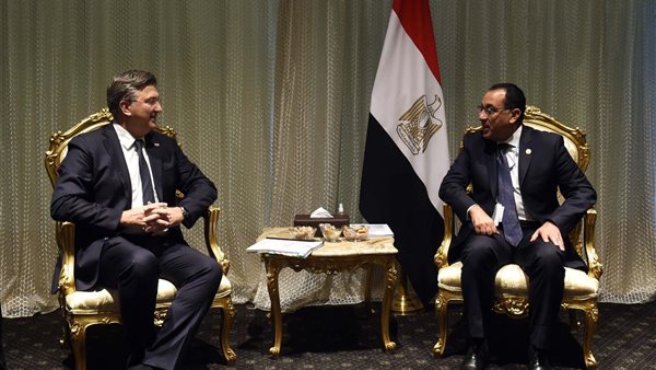 رئيس الوزراء يلتقي