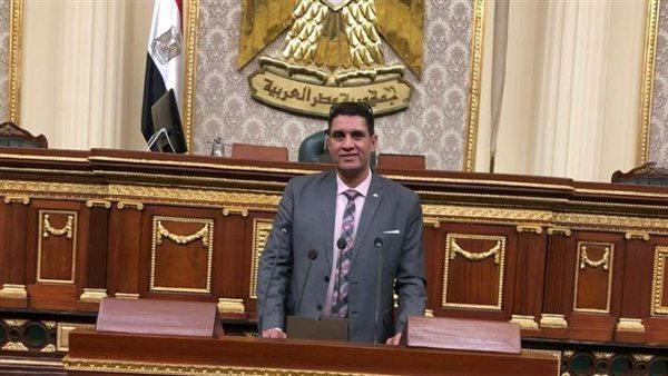  النائب رضا غازي