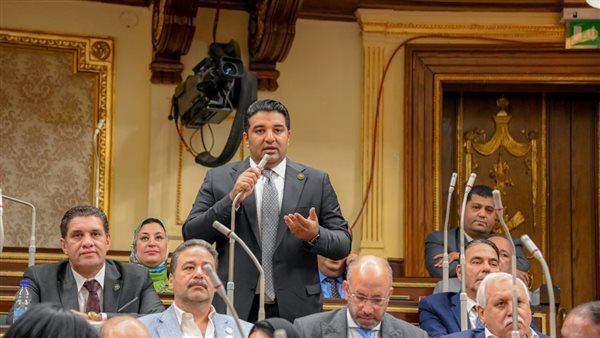 النائب عصام محمود