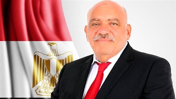 النائب سيد حنفى طه