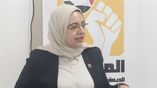 النائبة ريهام عبدالنبي،