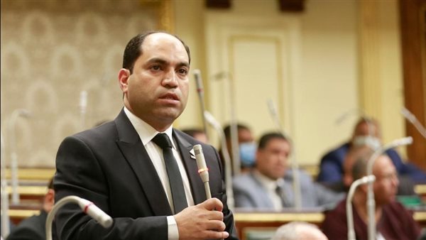 النائب عمرو درويش