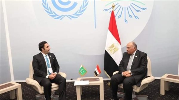 وزير الخارجية 