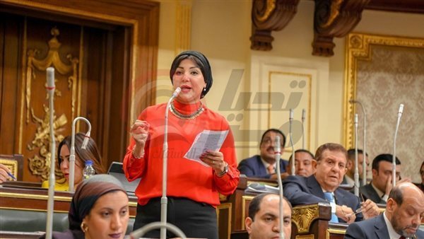 النائبة رشا أبو شقرة