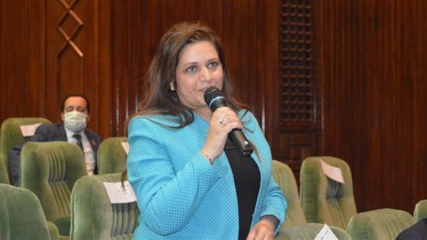 النائبة هيام فاروق