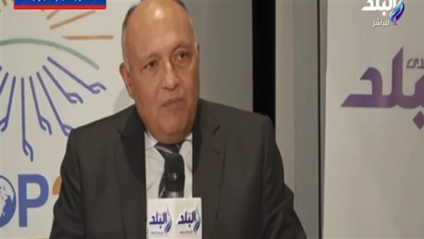 سامح شكري وزير الخارجية