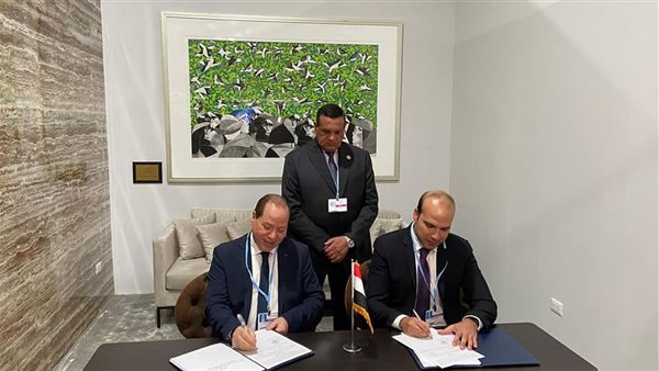 وزير التنمية المحلية