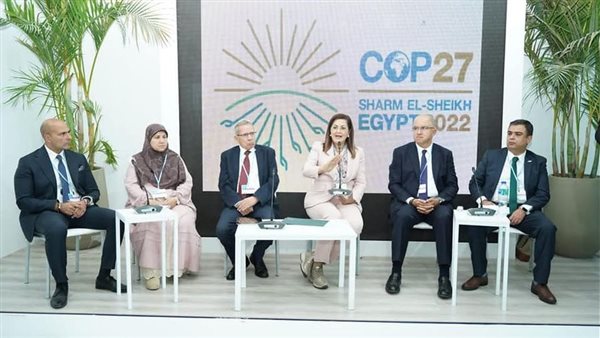 وزيرة التخطيط 