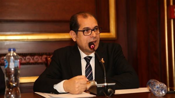 النائب يوسف عامر