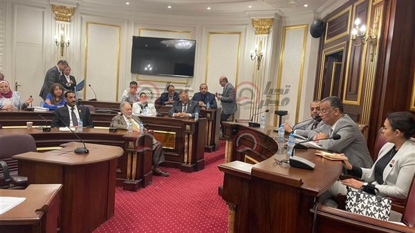 ثقافة الشيوخ