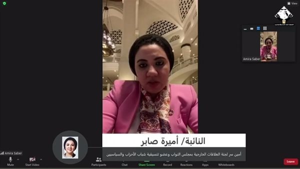 النائبة أميرة صابر