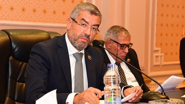  النائب عماد سعد