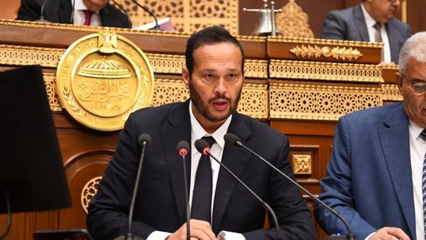 النائب محمد حلاوة