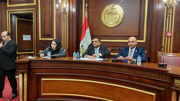  لجنة الثقافة والسياحة