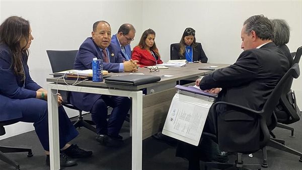 وزير  المالية