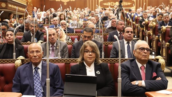 مجلس الشيوخ