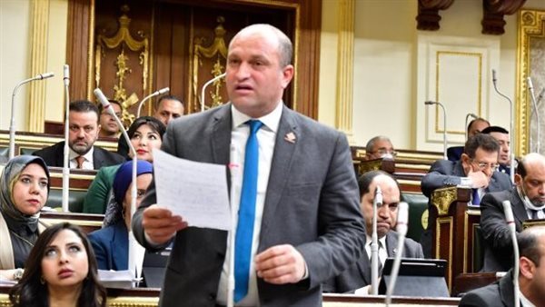 النائب أحمد رمزي