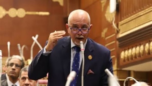  النائب الوفدى حازم