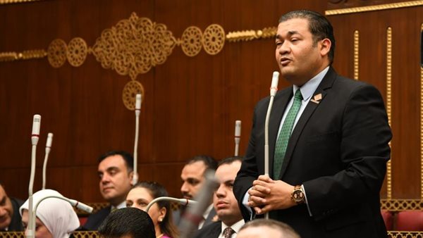 النائب محمد عمارة