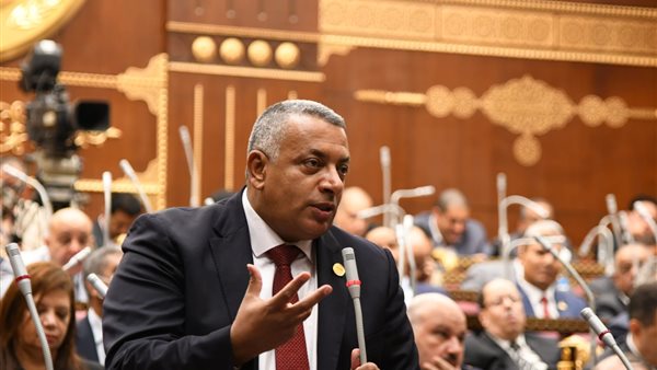  النائب علاء جاد