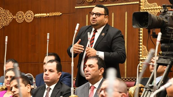 النائب أحمد القناوى