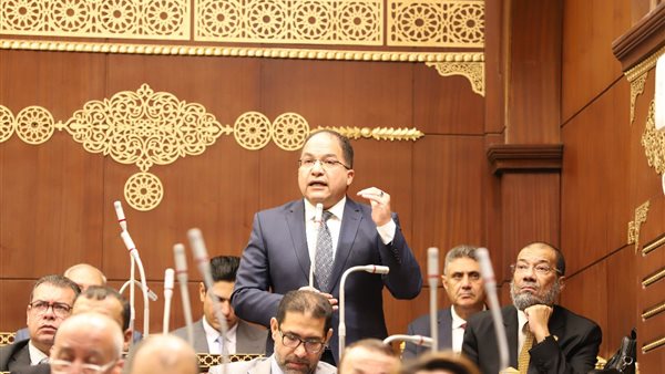 النائب عادل اللمعي