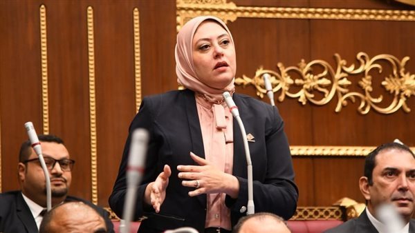 النائبة نهى أحمد