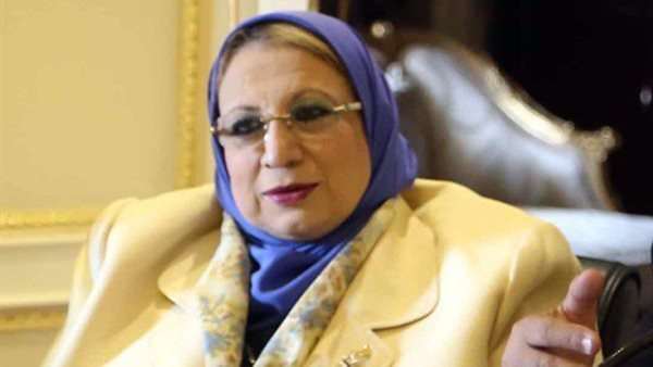 النائبة ايناس عبد