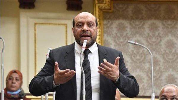 النائب محمود الشامى