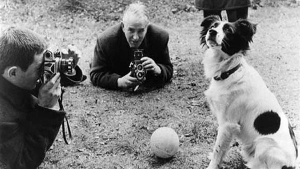 الكلب بيكلز