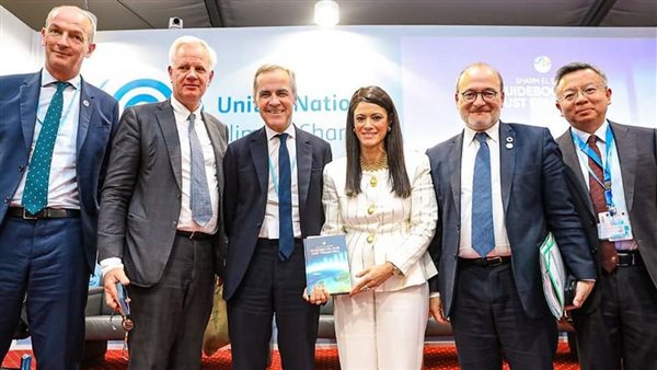 التعاون الدولي