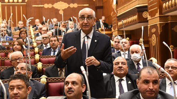  النائب حسانين توفيق