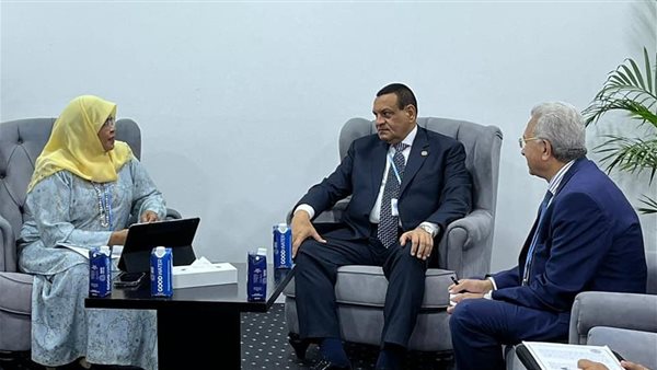 وزير التنمية المحلية