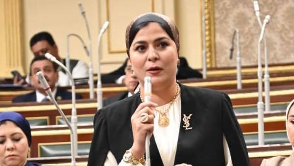 النائبة ولاء عبد