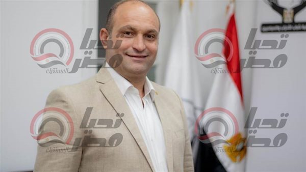 النائب أحمد رمزي