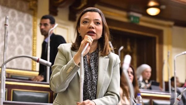 النائبة مي كرم 