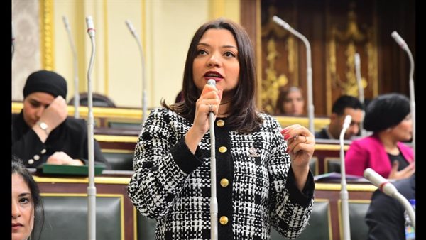  النائبة مى كرم جبر